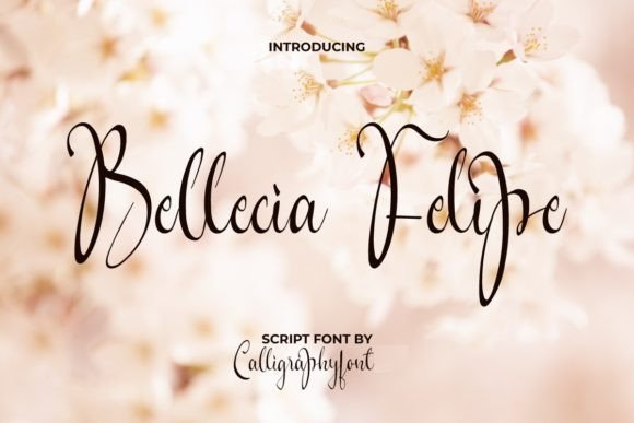 Bellecia Felipe: A Feminine Script Font for Polished Digital Branding
