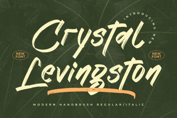 Crystal Levingston: An Elegant Script Font for Thoughtful Branding